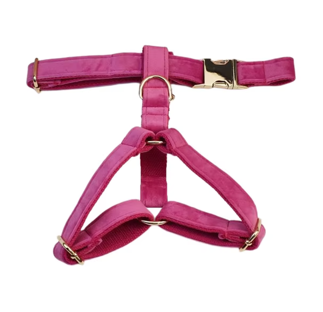 dark pink velvet harness