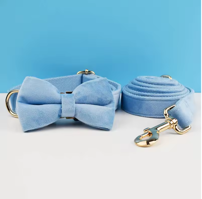 light blue velvet leash